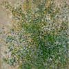 Spring Wattle - 580 x 580mm