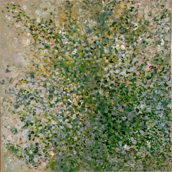 Spring Wattle - 580 x 580mm