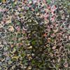 Urban Dream Painting - Image 3