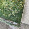 Field of Flowers Painting- 830x830mm - Image 4