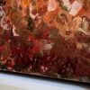 Gunnedah Cotton Series- 530x530mm - Image 11